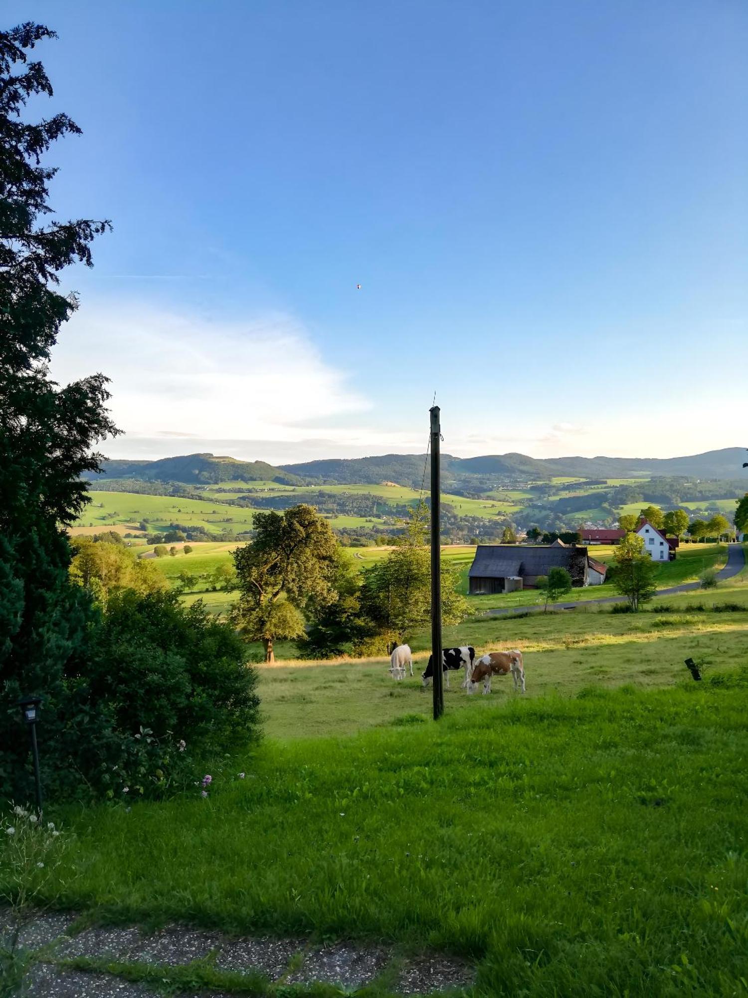 Ferienwohnung Rhoenpanorama Gersfeld Exteriér fotografie